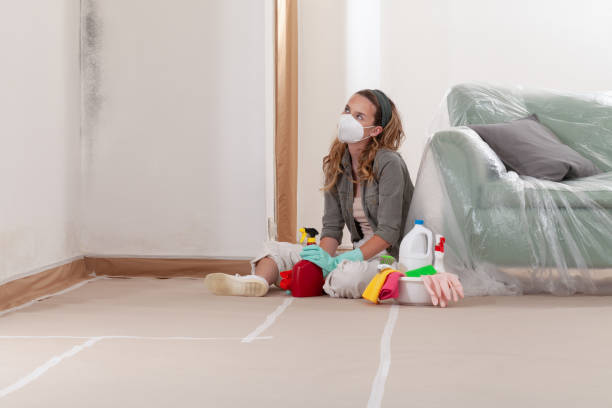 Reliable Basement Mold Remediation contractor in Levittown, NY by WQB Mold Removal